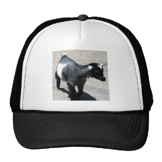 Baby Trucker Hats, Baby Mesh Hats | Zazzle