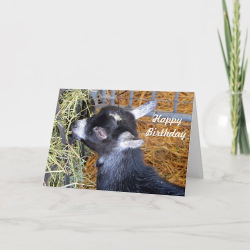 Baby Goat Hay Birthday Card