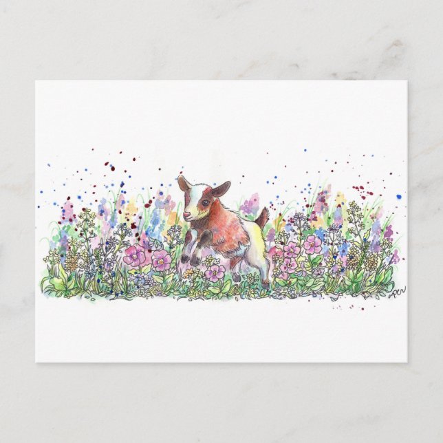 Baby Goat in Flower Field Postcard (Front)