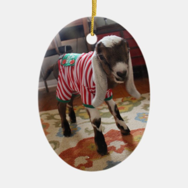 Baby Goat in Pajamas Xmas Ornament (Front)