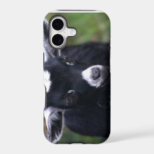 Baby Goat iPhone 17 Case