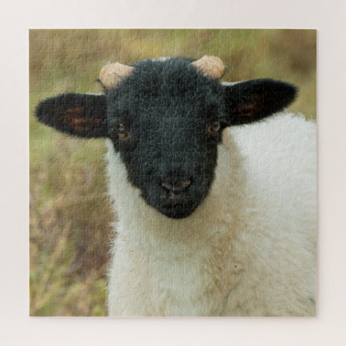 Baby Goat Jigsaw Puzzle