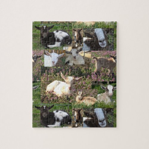 Baby Goat Kid Farm Barnyard Animals Farmhouse Art Jigsaw Puzzle