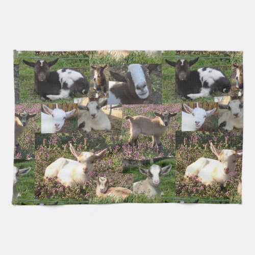 Baby Goat Kid Farm Barnyard Animals Farmhouse Art Kitchen Towel