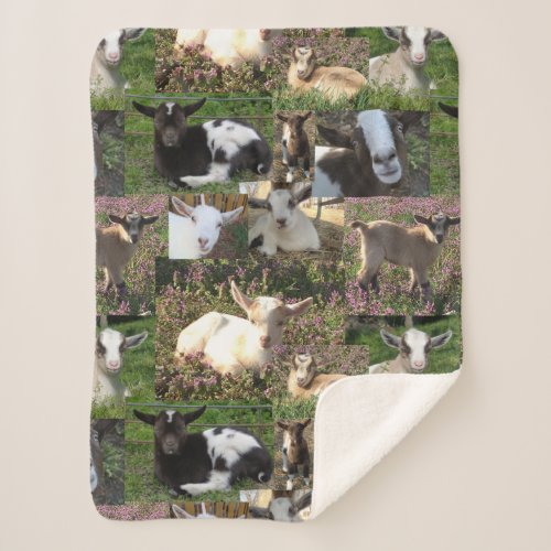 Baby Goat Kid Farm Barnyard Animals Sherpa Blanket