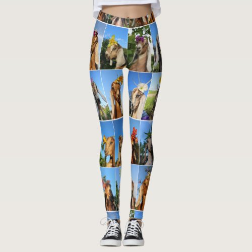 Baby Goat Leggings