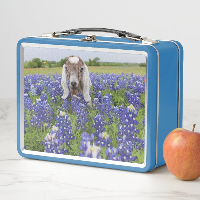Baby Goat Lunchbox (In Situ)