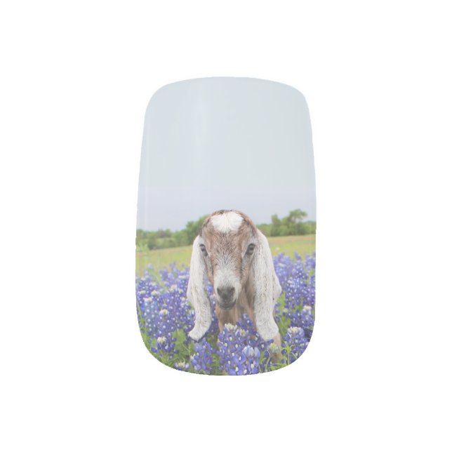 Baby Goat Nail Wraps (Left Thumb)