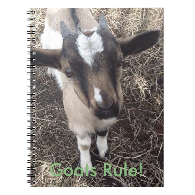 Baby Goat Notebook (Front)