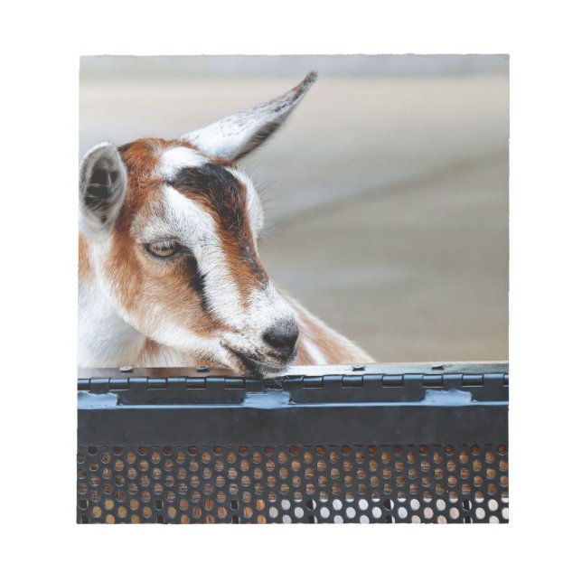 Baby Goat Notepad (Front)
