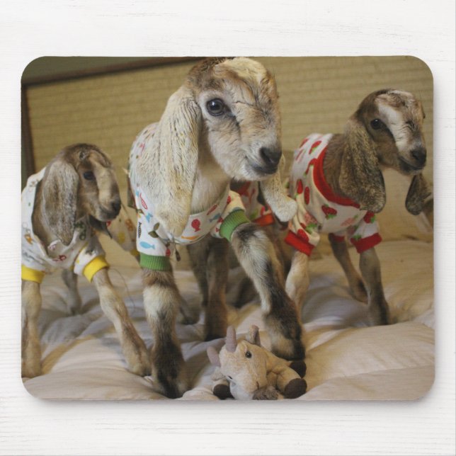 Baby Goat PJ Party Mousepad (Front)