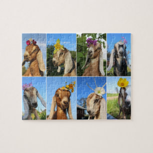 Baby Goat Puzzle
