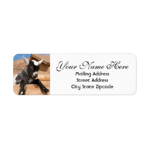 Baby Goat Return Address Label