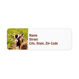 Baby Goat - Return Address Label
