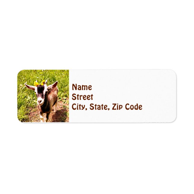 Baby Goat - Return Address Label (Front)