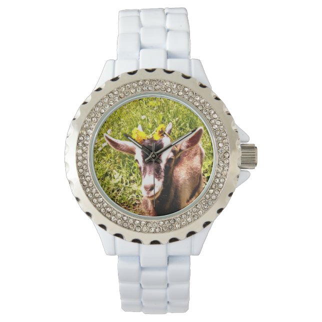 Baby Goat Rhinestone Watch (Front)