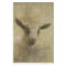 Baby Goat Socke