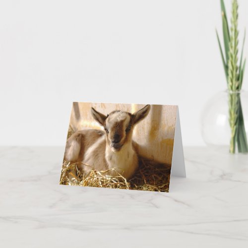 Baby Goat Two Fold Greeting Card