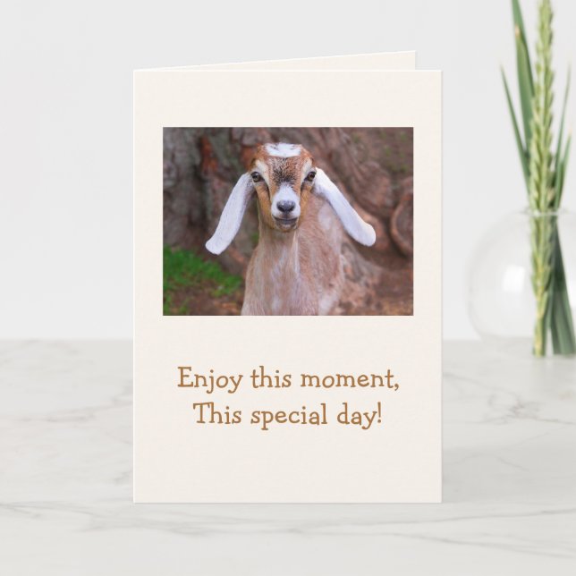 Baby Goat Wisdom Birthday Card (Front)