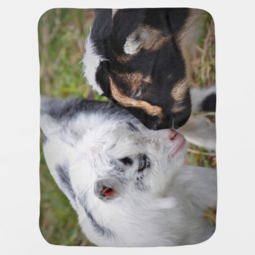 Baby Goats Baby Blanket Zazzle