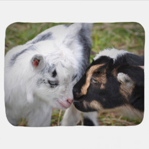 Baby Goats Blanket