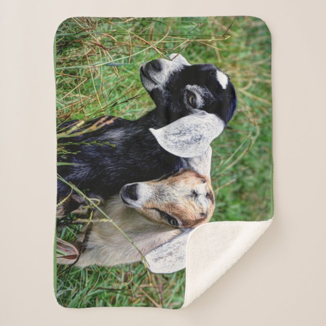 Baby Goats Sherpa Blanket (Front)