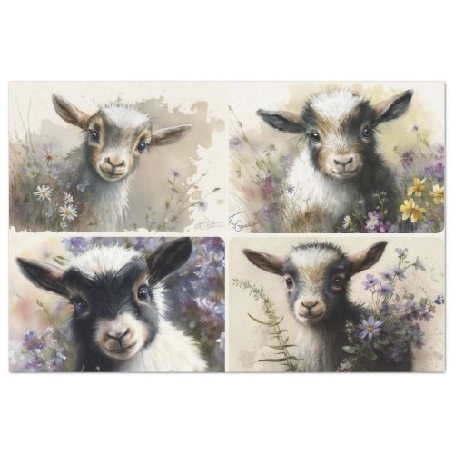 Baby Goats  Tissue Paper