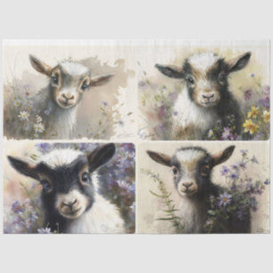 Baby Goats Tissue Paper
