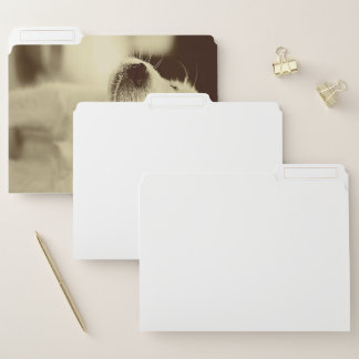 Baby Golden Retriever | Unique Gift File Folder