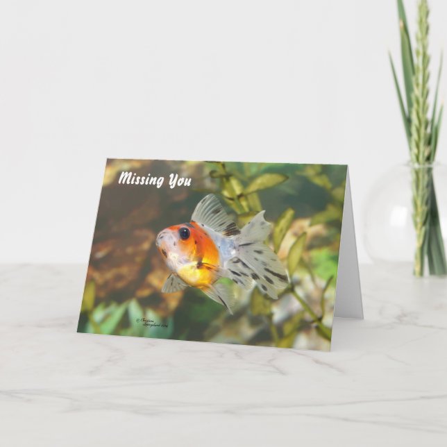 Baby Goldfish Missing you Greeting Card (Front)