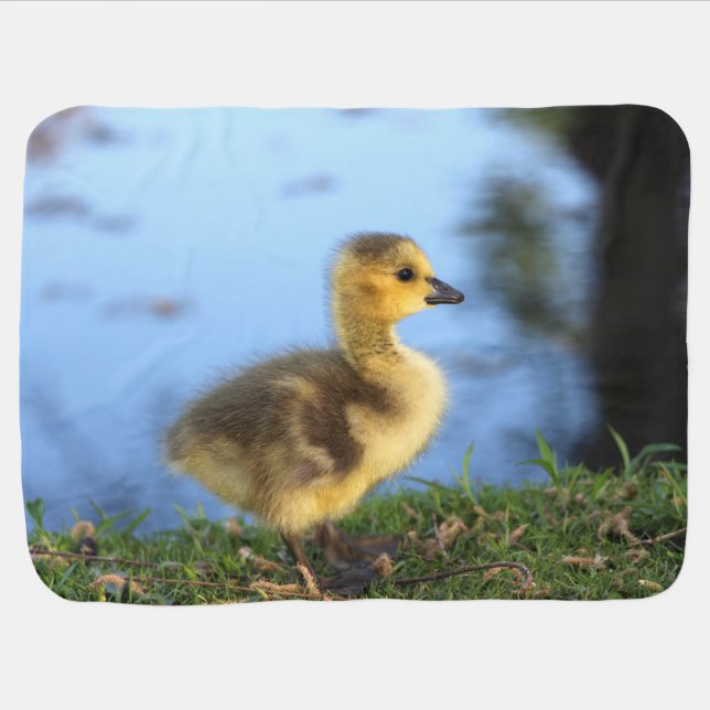 Baby Goose Blanket (Horizontal)