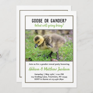 Baby Goose Gender Reveal Invitation