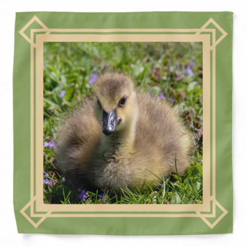 Baby Goose Gosling Bandana