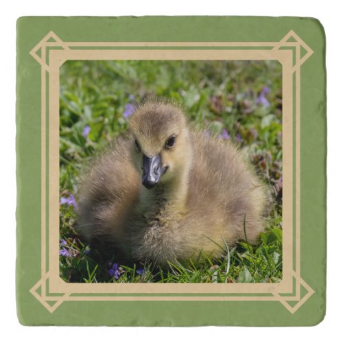 Baby Goose Gosling Trivet