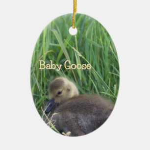 Baby Goose Ornament