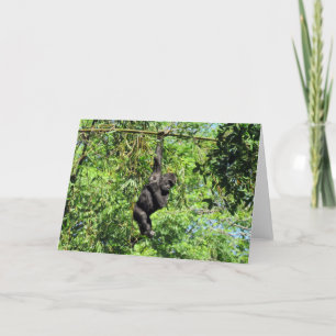 Baby Gorilla (2035) - Greeting Card