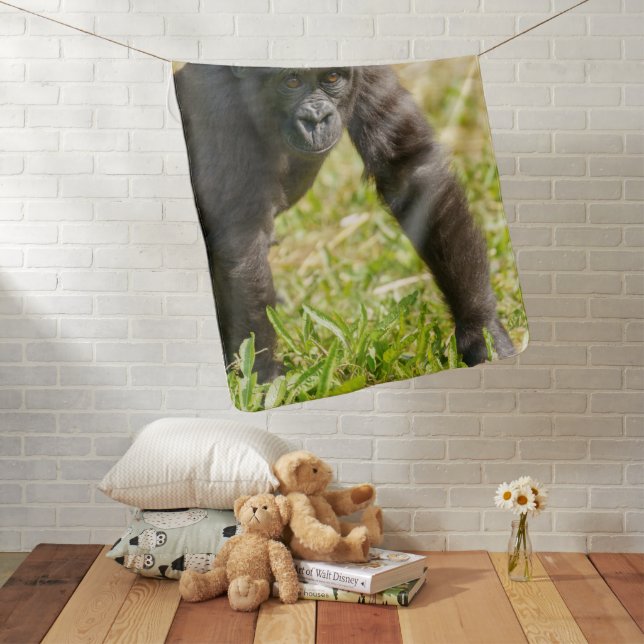Baby Gorilla Blanket (In Situ)