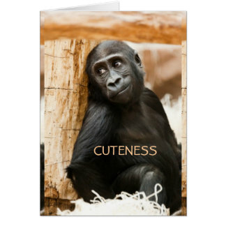 Baby gorilla cards