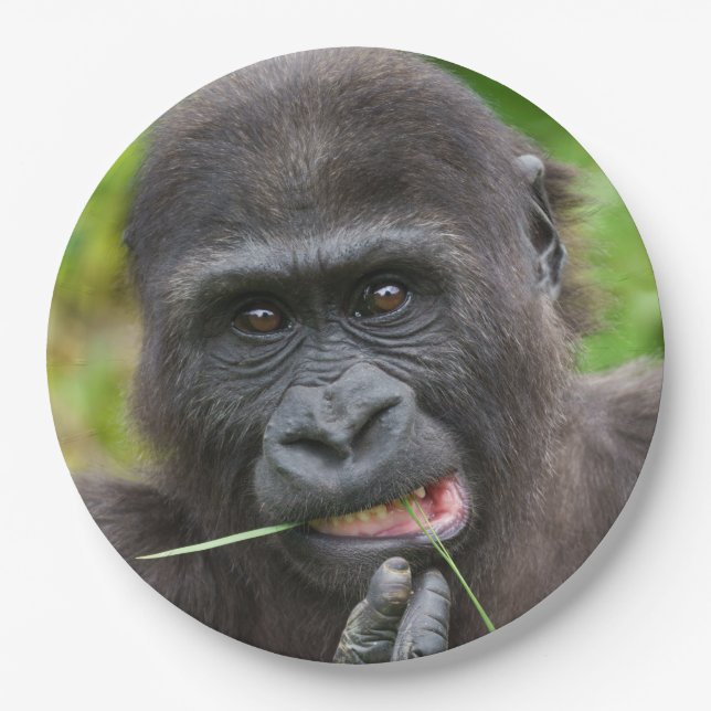 Baby Gorilla Cuteness Paper Plates (Front)