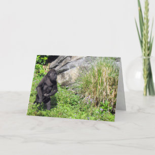 Baby Gorilla Greeting Card