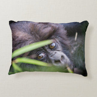 Baby gorilla of Rwanda Africa Accent Pillow