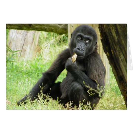 Baby Gorilla Snacking Card