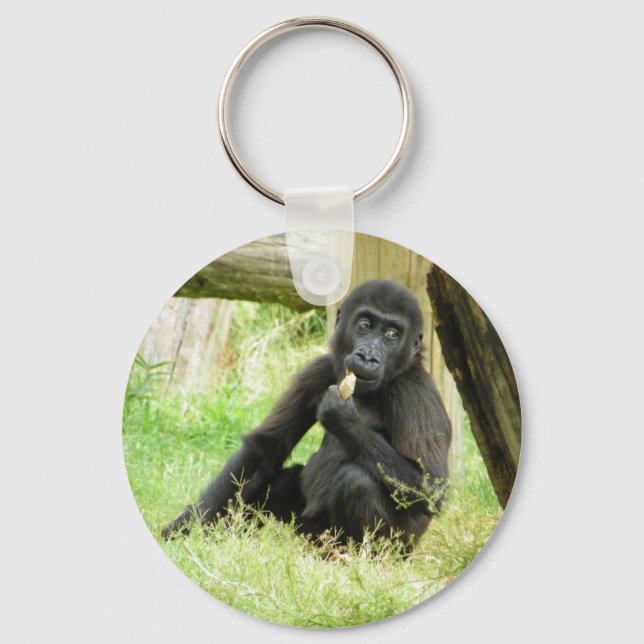 Baby Gorilla Snacking Keychain (Front)