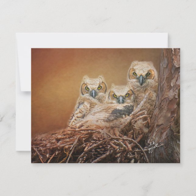 Baby Great Horned Owls Wildlife Photography Note Card (Front)