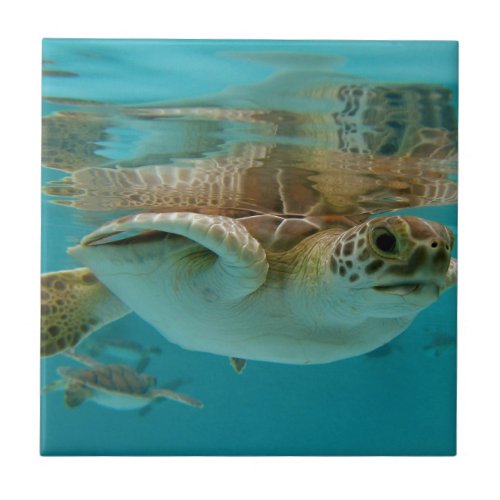 Baby Green Sea Turtle Ceramic Tile