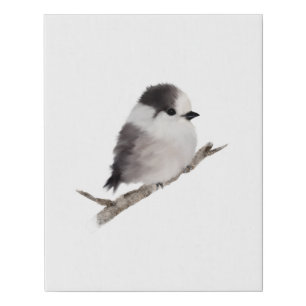 Baby Grey Jay Bird Wrapped Canvas Print