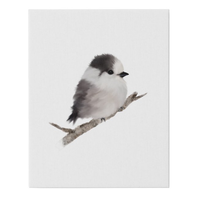 Baby Grey Jay Bird Wrapped Canvas Print (Front)