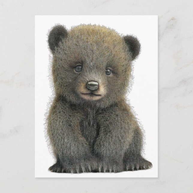 Baby grizzly bear POSTCARD (Front)