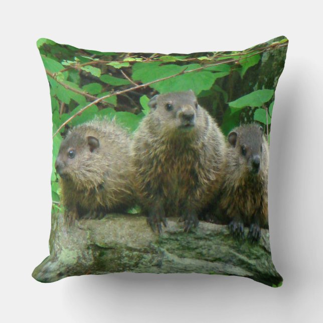 Baby Groundhogs - Woodchucks - Grundsows Throw Pillow (Front)