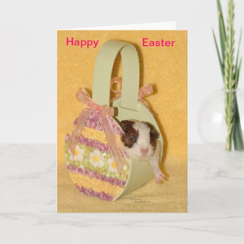 Baby Guinea Pig Happy Easter Card